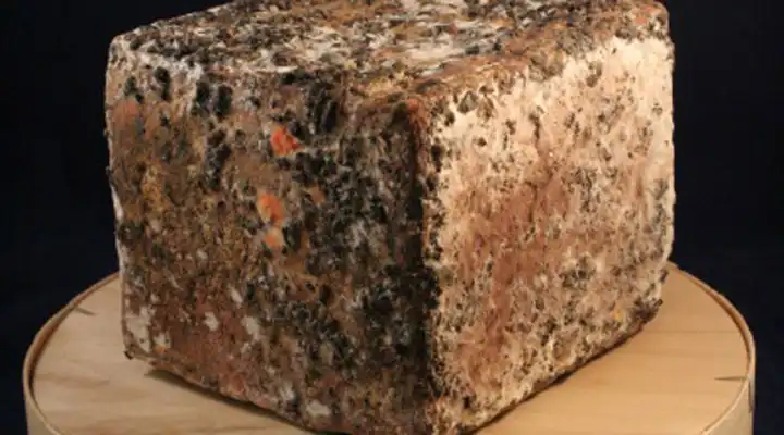 Cremonesi