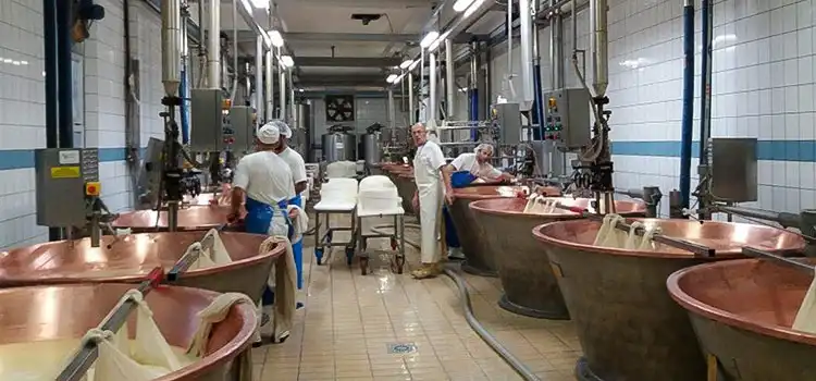 Latteria Pizzighettone