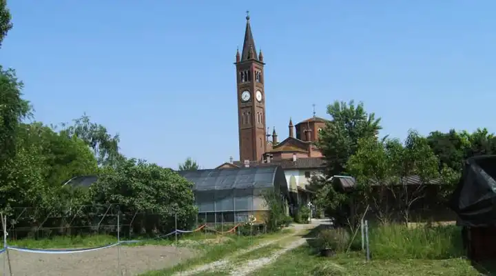 Apiflor